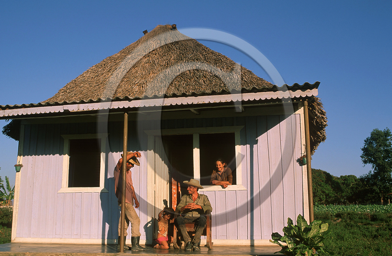 RÉGION DE VINALES.CUBA
