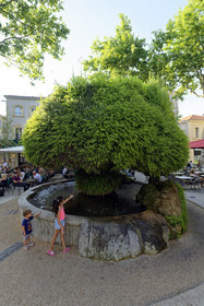 France, Salon de Provence