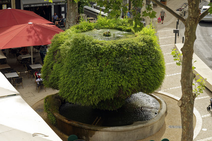 France, Salon de Provence