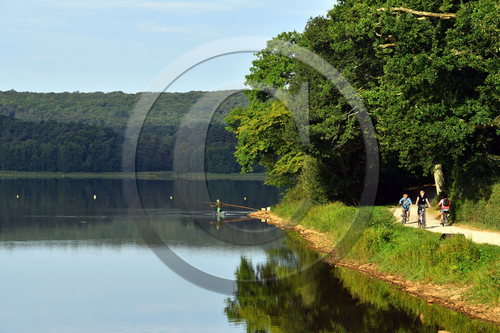 France, Brocéliande