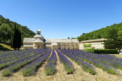 France, Senanque