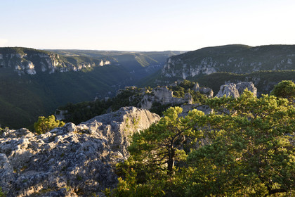 France, Montpellier Vieux