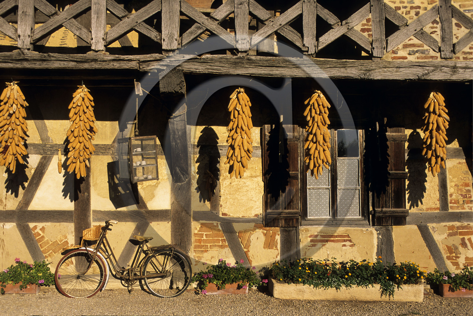 COURTES (01),  FRANCE