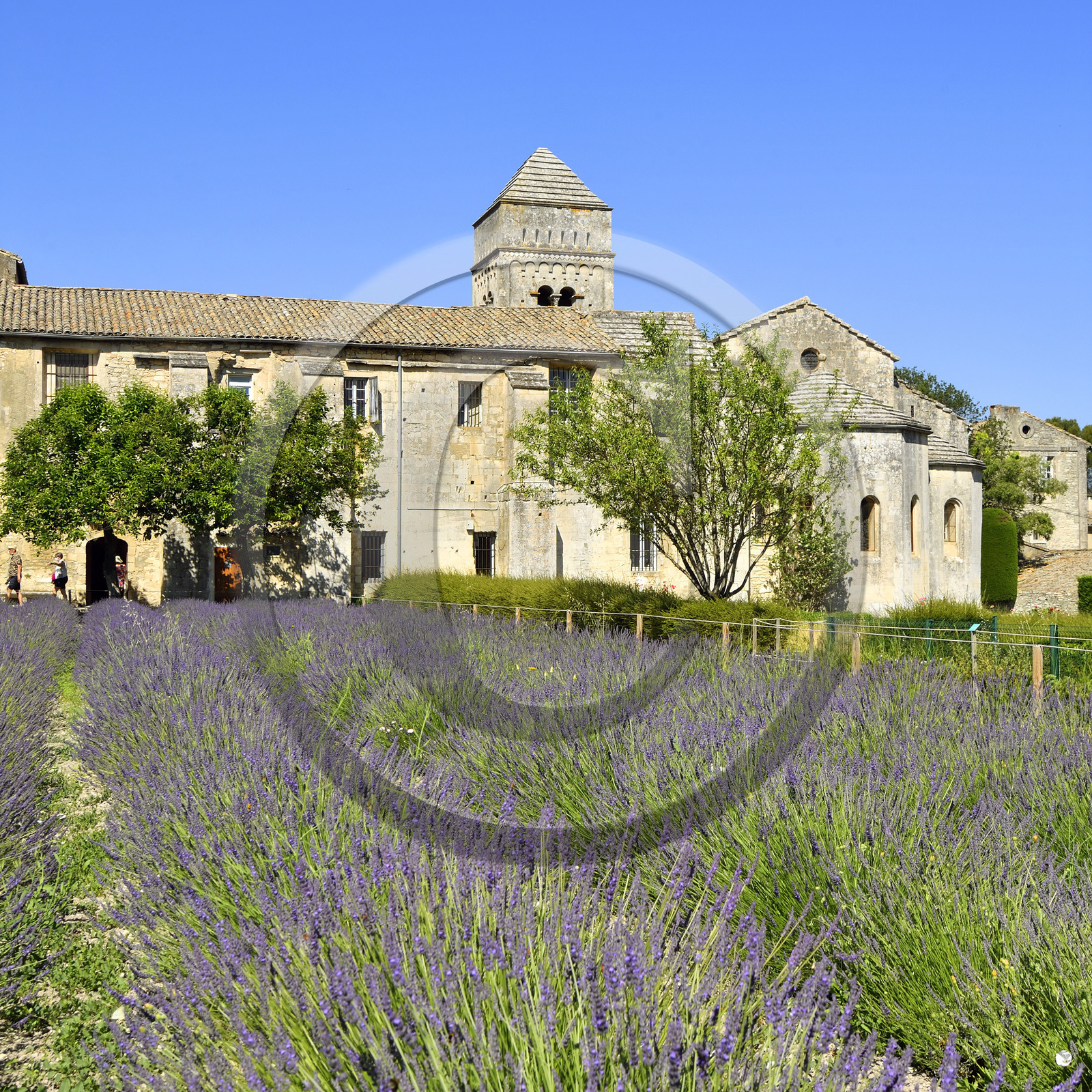 France, Saint Remy de Provence