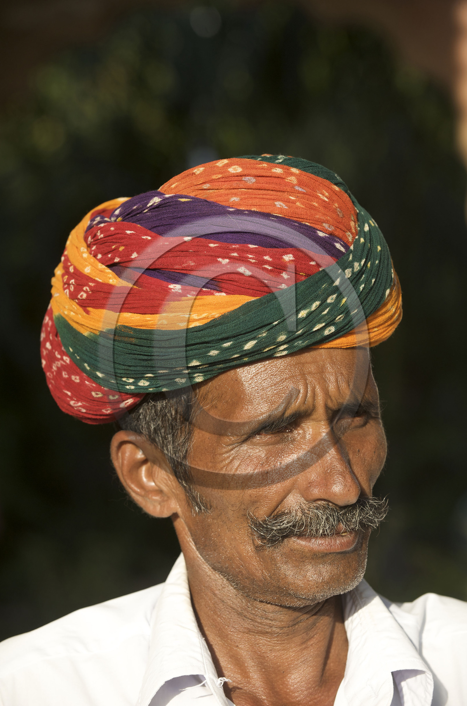 Inde, Pushkar