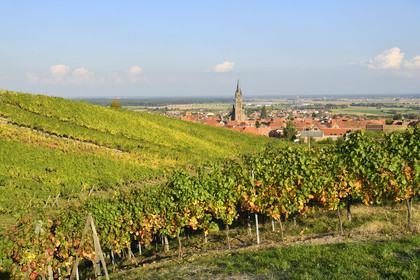 France, Dambach la Ville