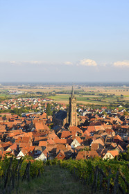 France, Dambach la Ville