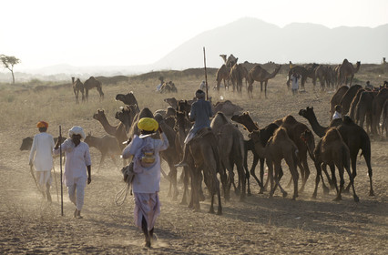 Inde, Pushkar
