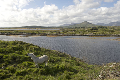 Irlande, Connemara