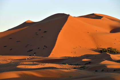 Maroc, Merzouga