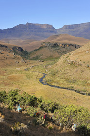 AFS, Drakensberg