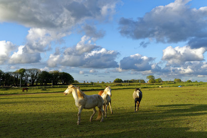 France, St Thegonnec