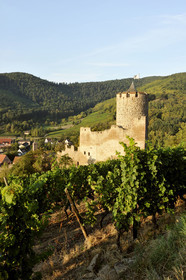 France, Kaysersberg