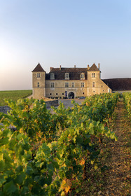 France, Vougeot