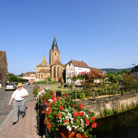 France, Wissembourg