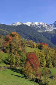 Autriche, Tyrol
