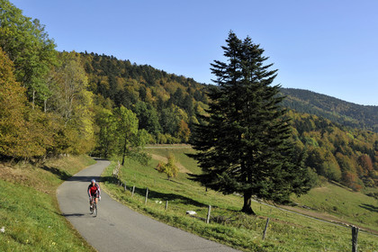 France, Grand Ballon