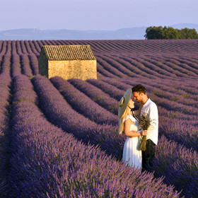 France, Valensole