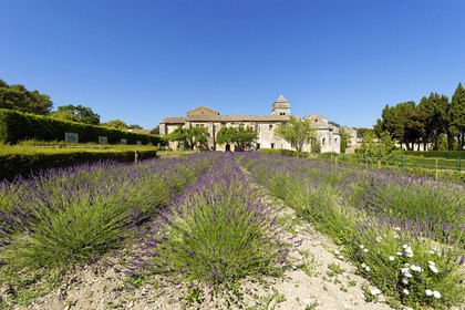France, Saint Remy de Provence