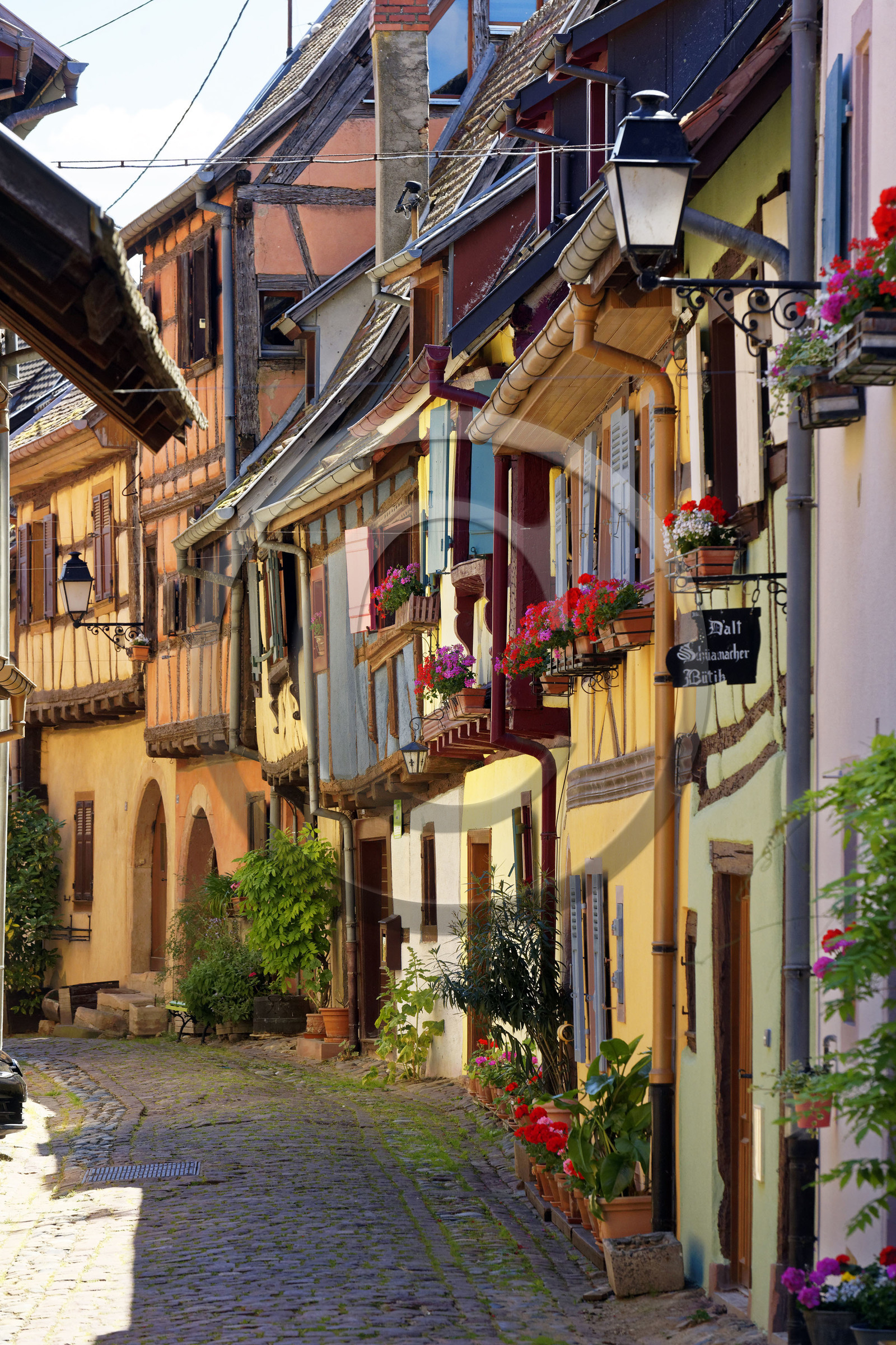 France, Eguisheim