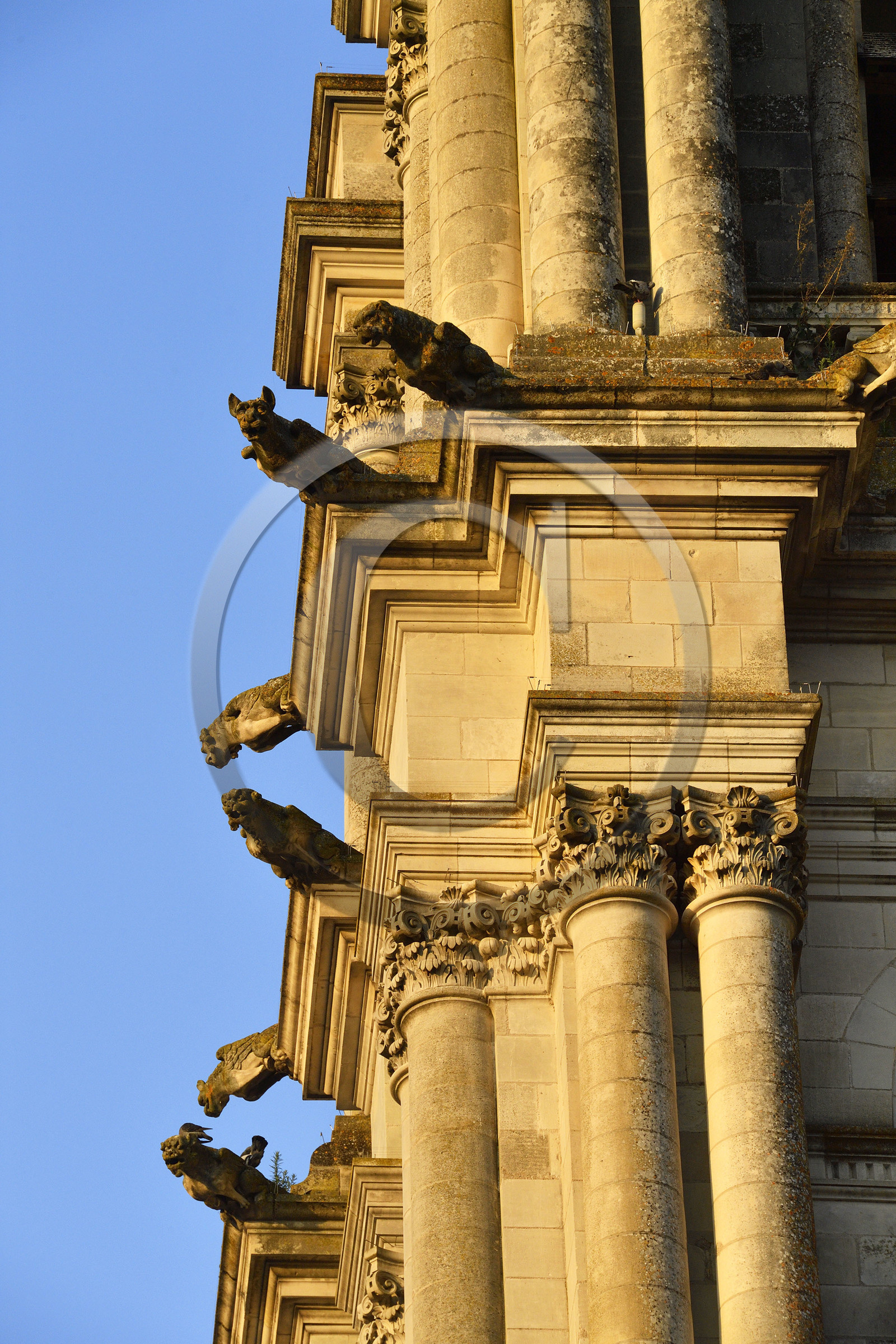 France, Blois