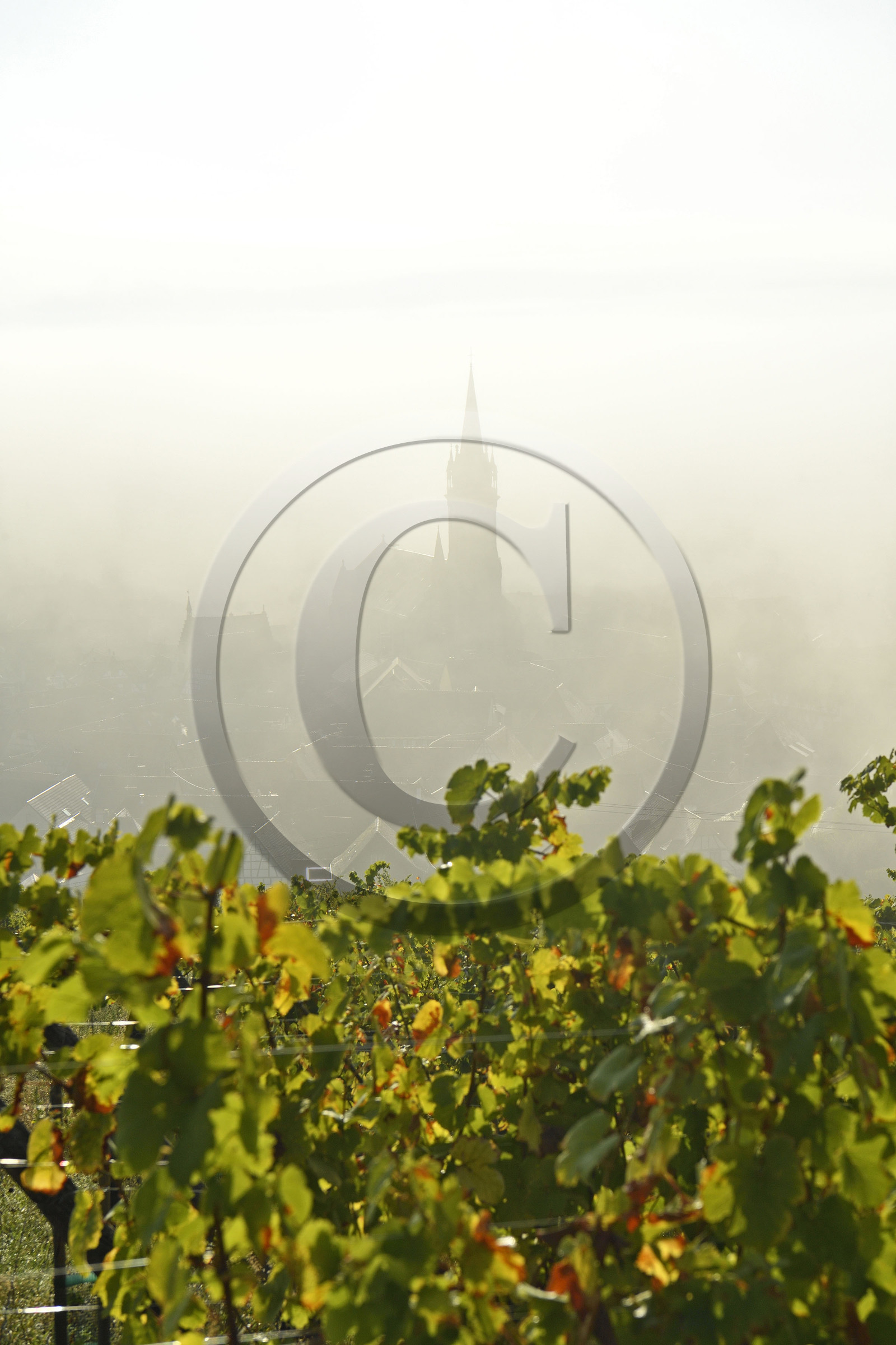 France, Dambach la Ville