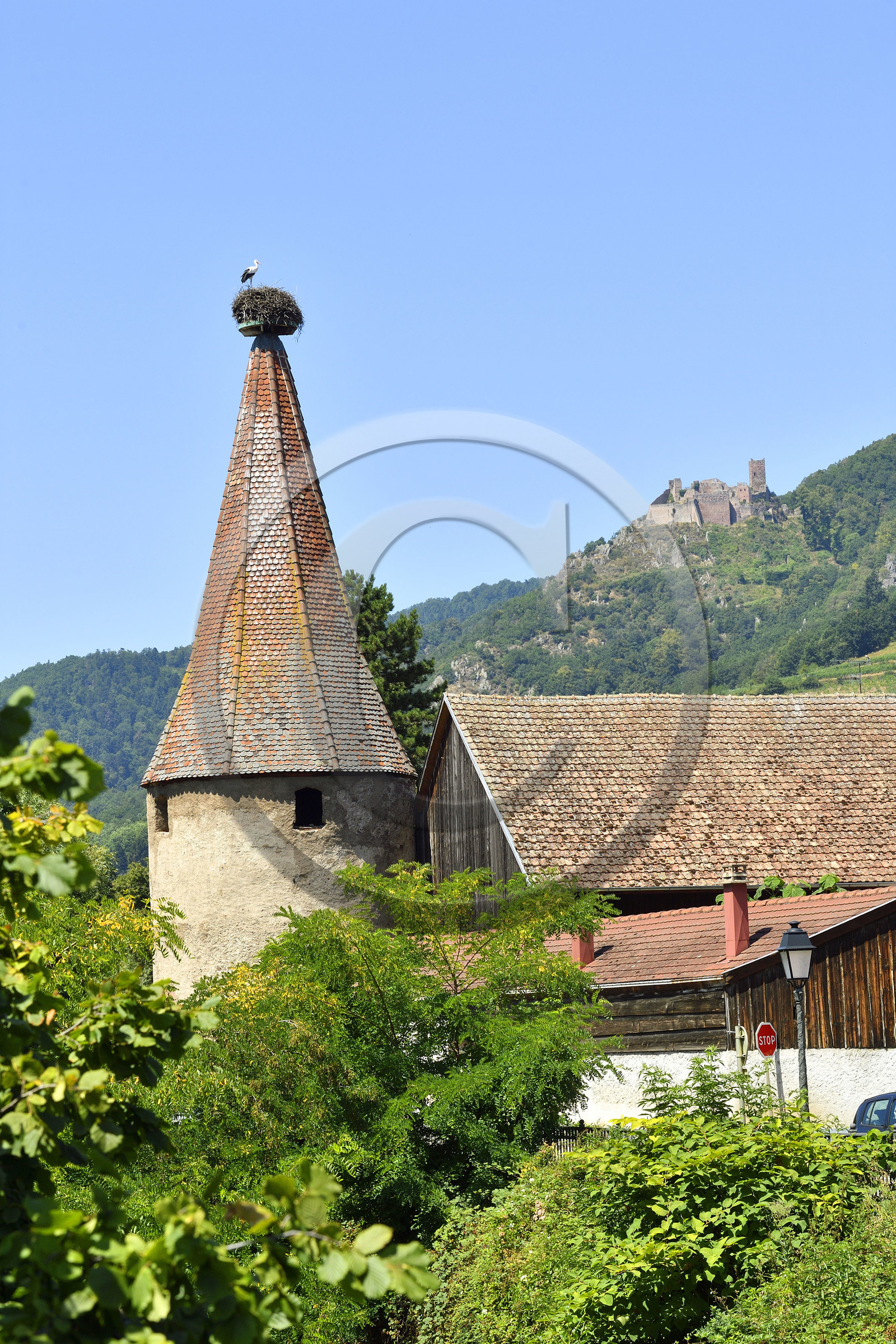 France,  Ribeauville