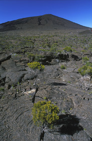 Ile de la Réunion.France
