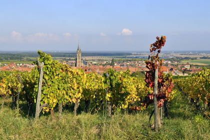 France, Dambach la Ville