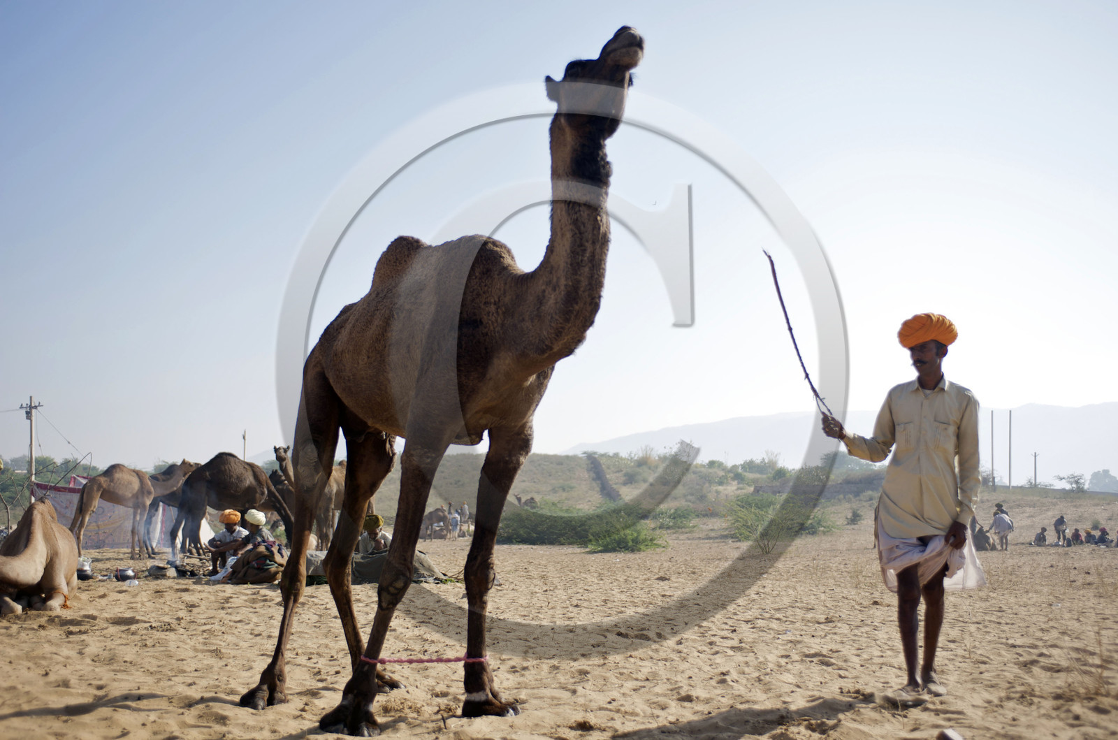 Inde, Pushkar