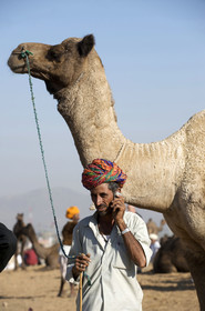 Inde, Pushkar