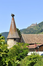 France,  Ribeauville