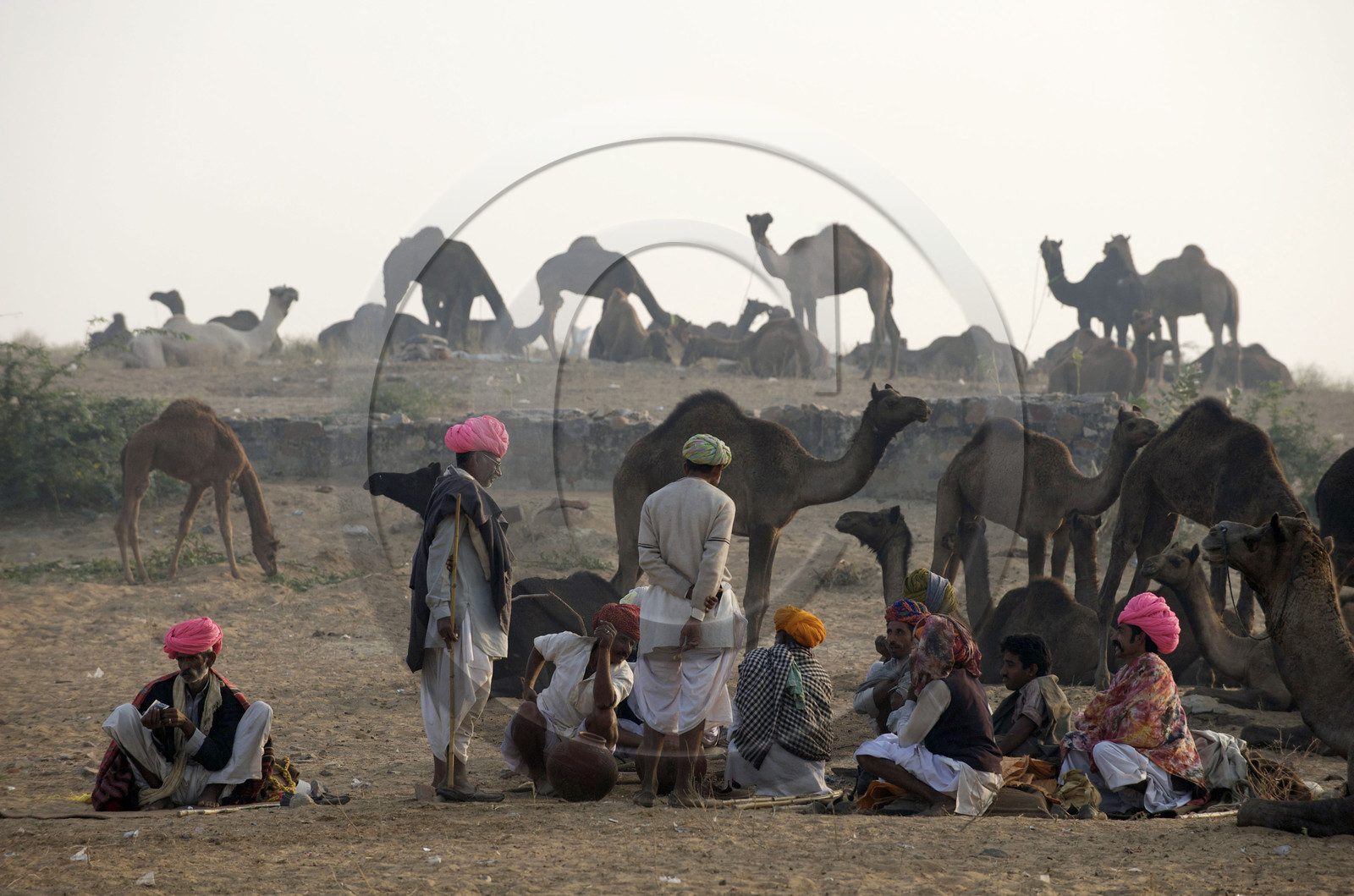 Inde, Pushkar