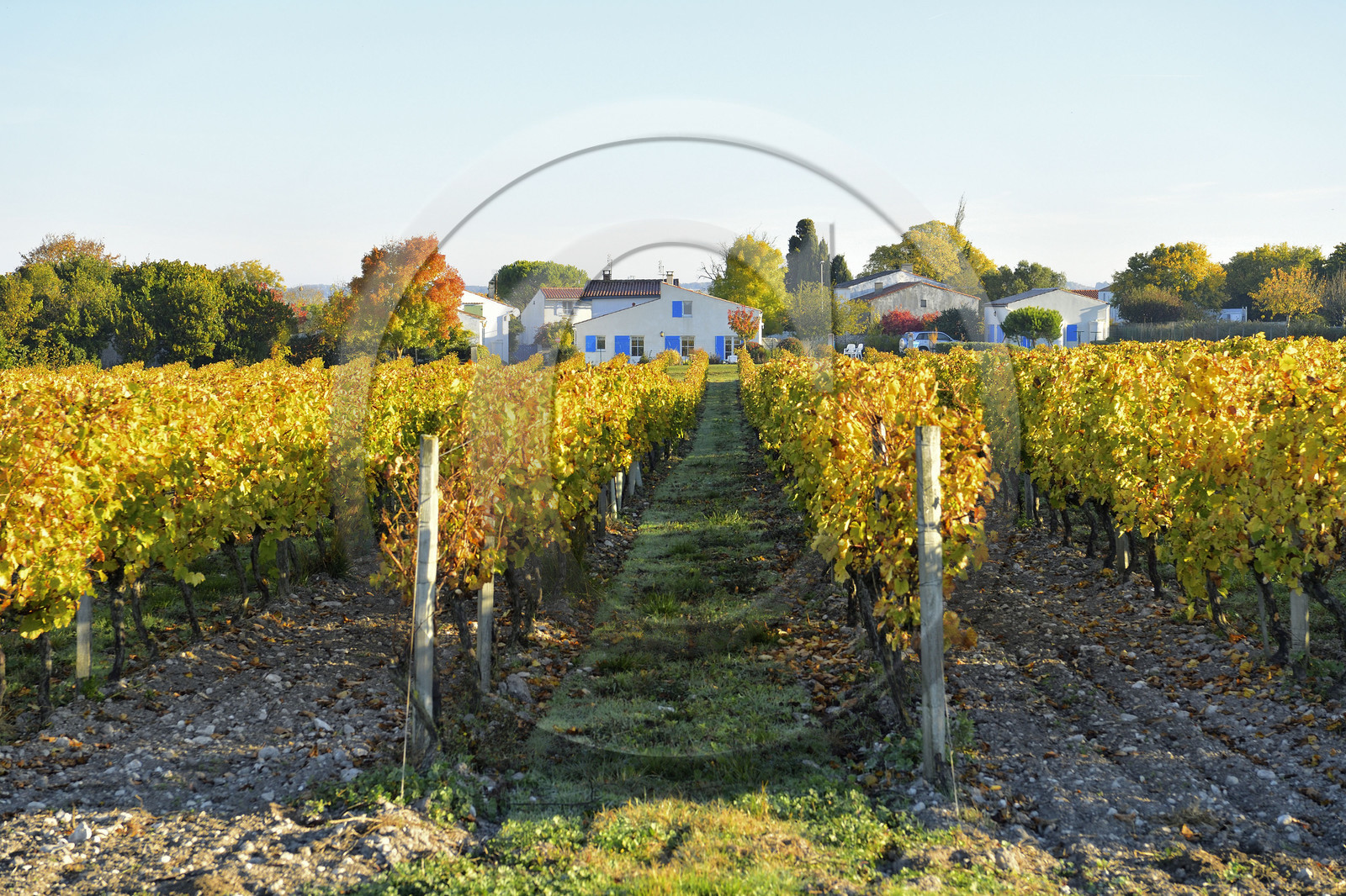 France charente maritime estuaire gironde saintonge talmont sur gironde