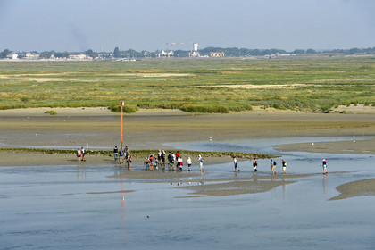 France, Baie de Somme
