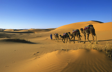 MAROC SUD   MERZOUGA.ERG CHERBI