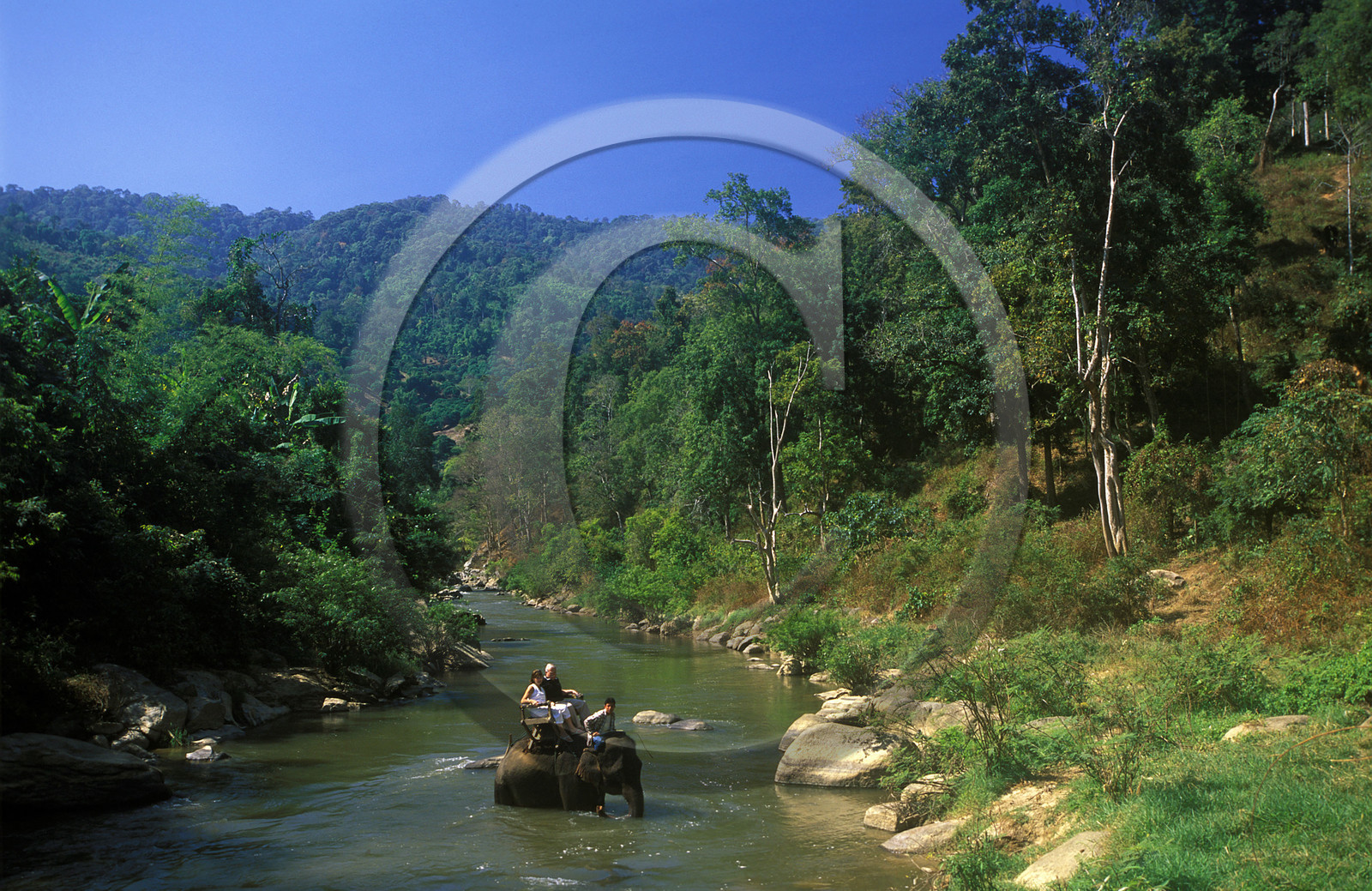 THAILANDE  DU NORD.FEMME GIRAGE