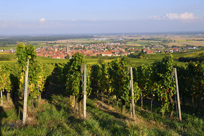 France, Dambach la Ville