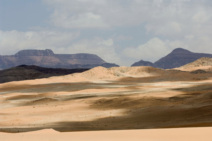 REGION DE LA MER MORTE. JORDANIE