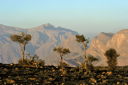 Oman, Hajjar