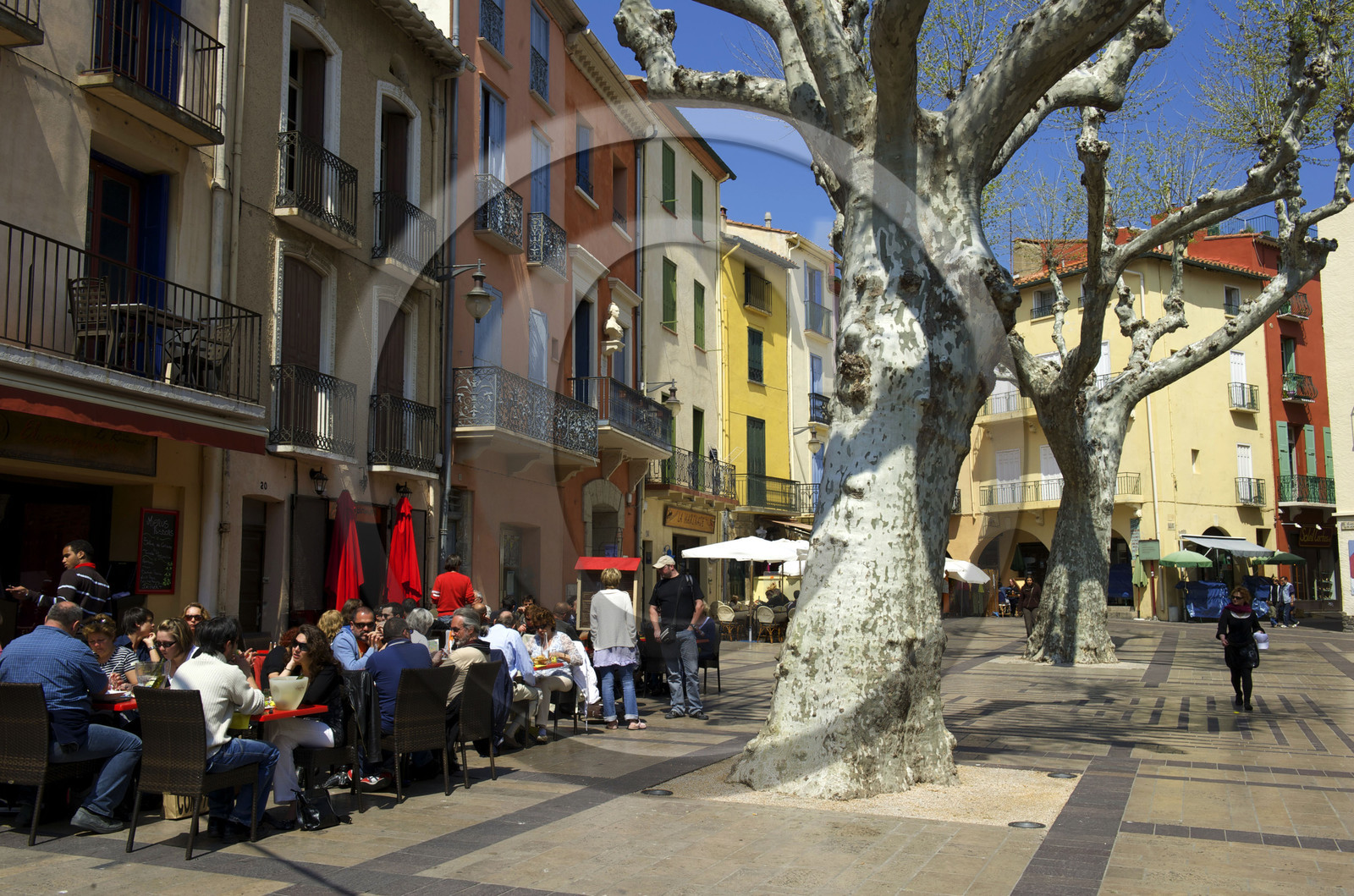 France, Collioure