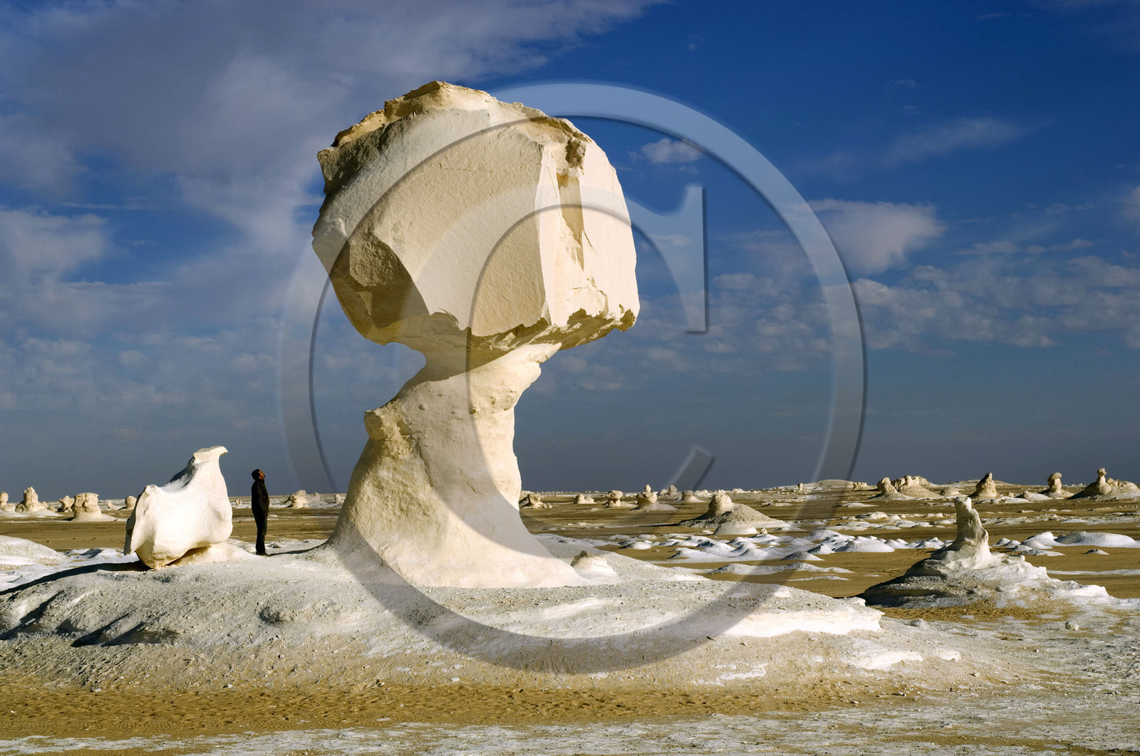 Egypte, désert blanc