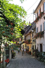 France, Eguisheim