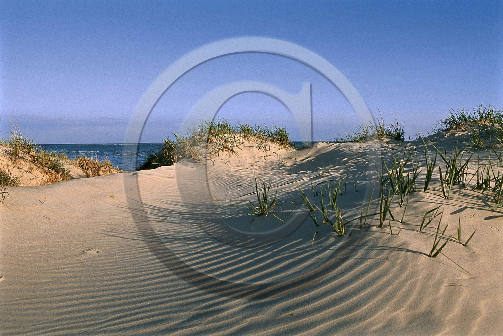 Estonie, Pays Baltes