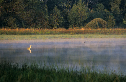 LA DOMBES (01), FRANCE