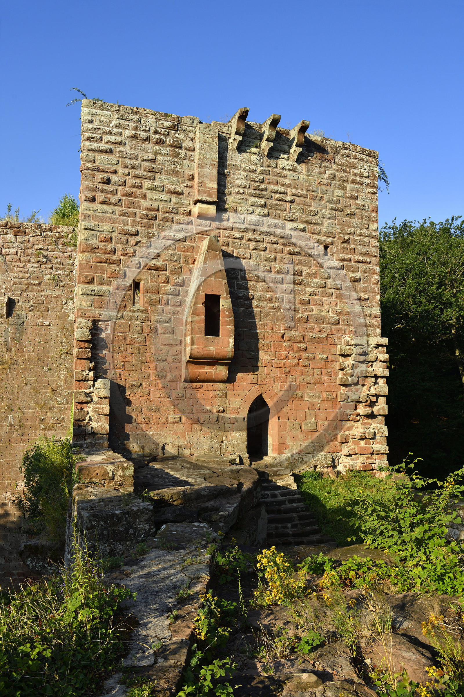 France,  Niederbronn