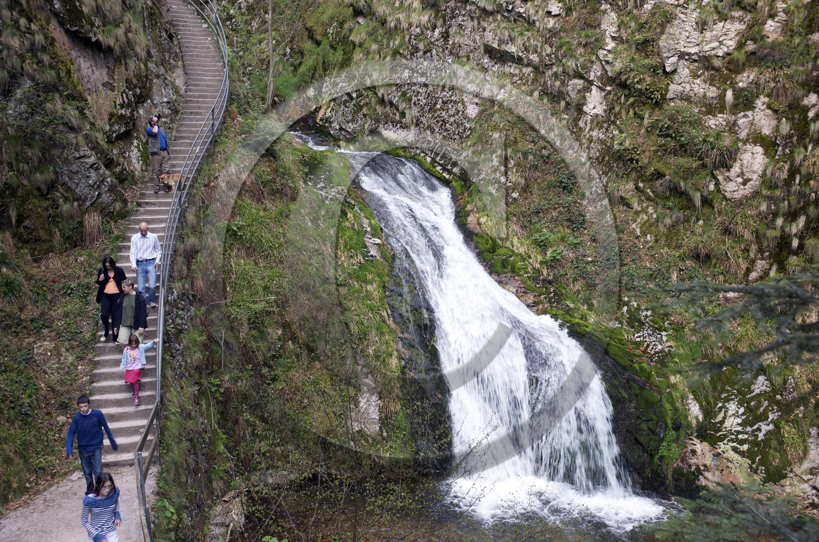 Allemagne, Forêt Noire