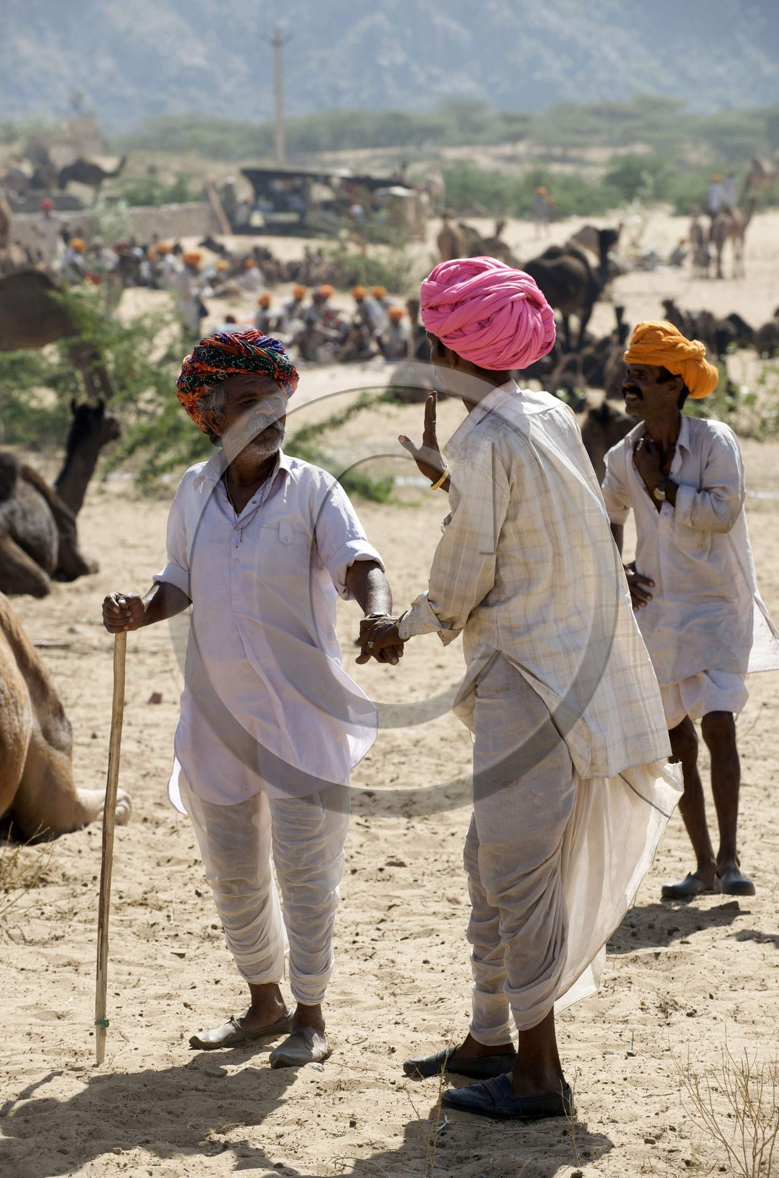 Inde, Pushkar