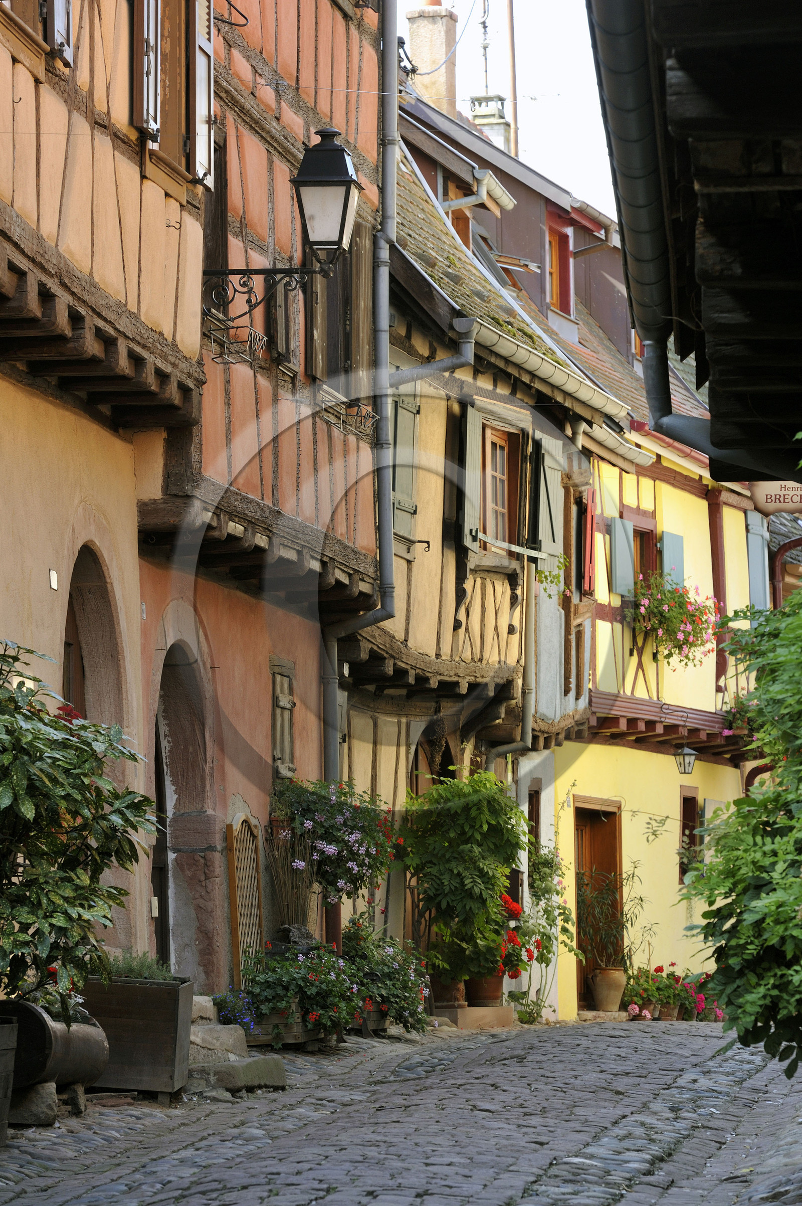 France, Eguisheim