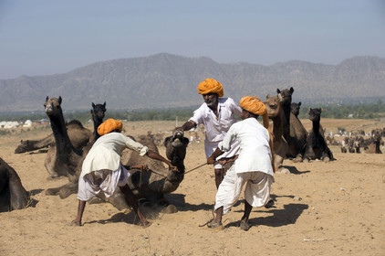 Inde, Pushkar